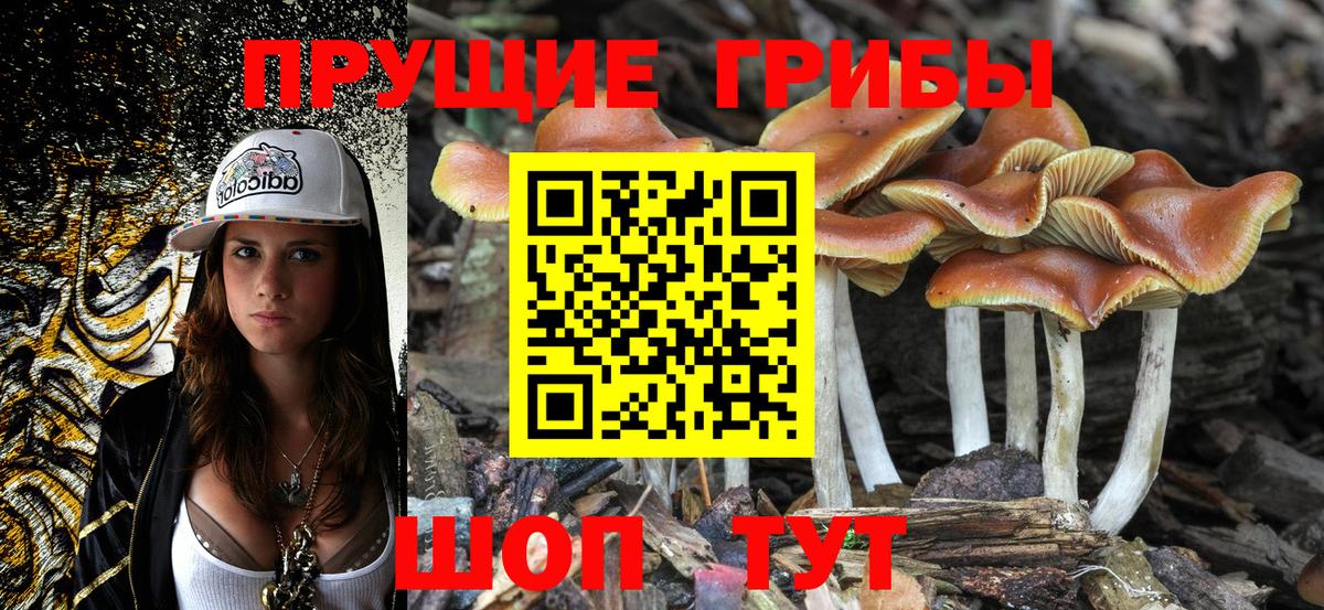 Галлюциногенные грибы GOLDEN TEACHER  Шуя  Галлюциногенные грибы мицелий 